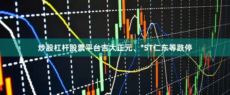 炒股杠杆股票平台吉大正元、*ST仁东等跌停