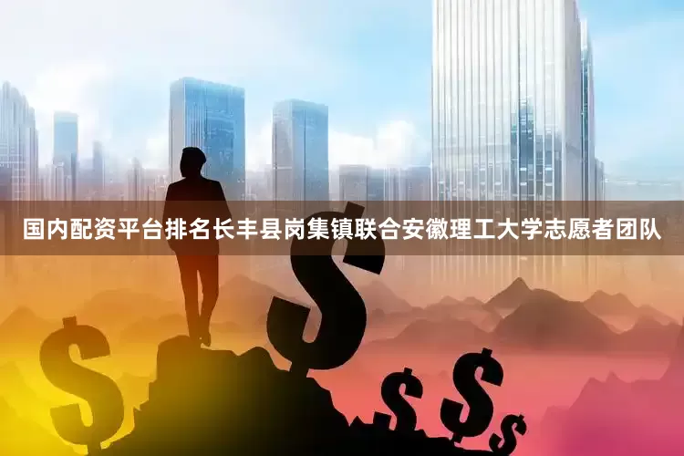 国内配资平台排名长丰县岗集镇联合安徽理工大学志愿者团队